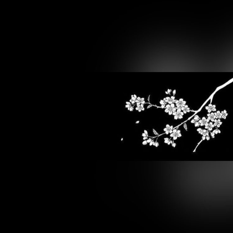 vqital banner